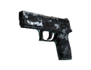 P250 - Steel Disruption