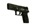 P250 - Iron Clad