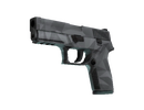 P250 - Facets
