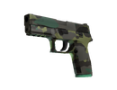 P250 - Boreal Forest