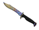 ★ Bowie Knife - Case Hardened